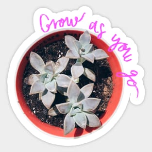 Succulent Grow as you go Pink Sticker